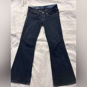 Y2K Gap 1969 lowrise Curvy Jeans. Size 28/6a Petite